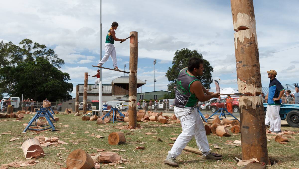 CHOP: Brendan Marsh of Millfield and Chris Owen of Grafton compete in the Tree Felling at the 2019 Maitland Show over the weekend. Picture: Max Mason-Hubers