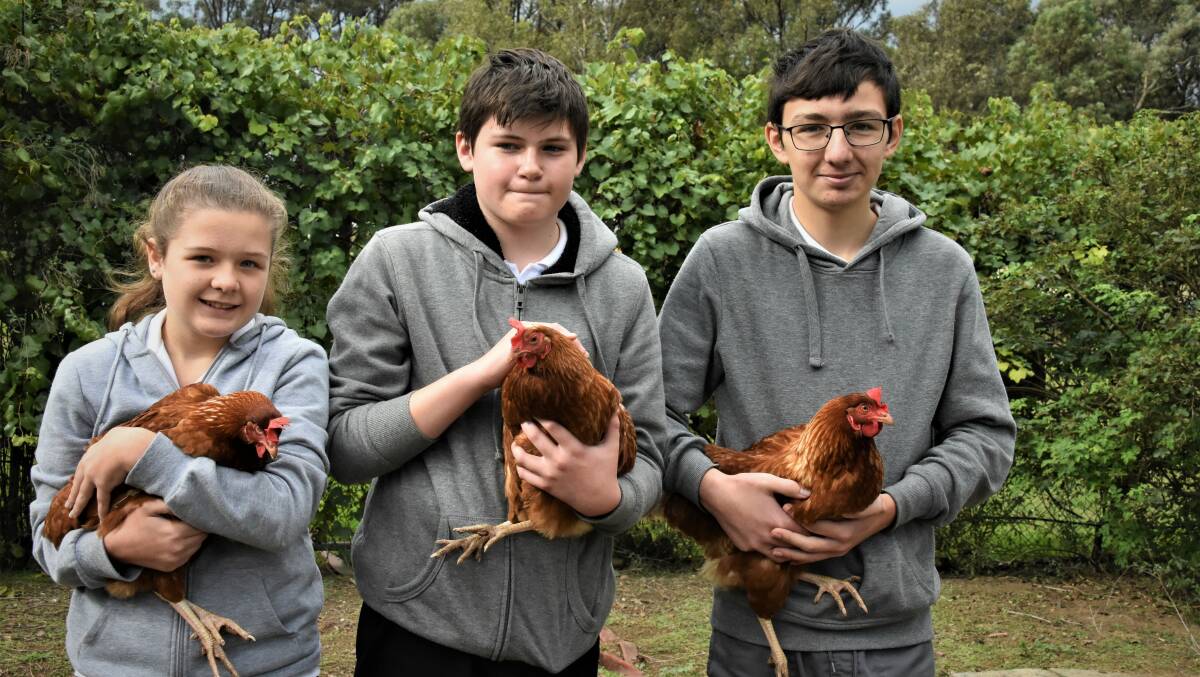 FARMING: Mount View High School students will spend two terms participating in an extra curriculum agricultural enterprenurial program. 