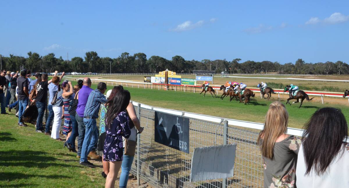 BIG DAY: Punters cheer on the field at last year's Jungle Juice Cup. Picture: Krystal Sellars.