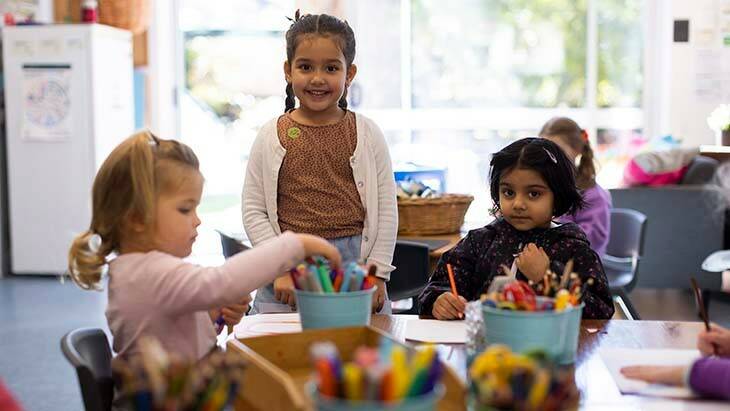 Six Cessnock region public schools in line for a new preschool by 2027