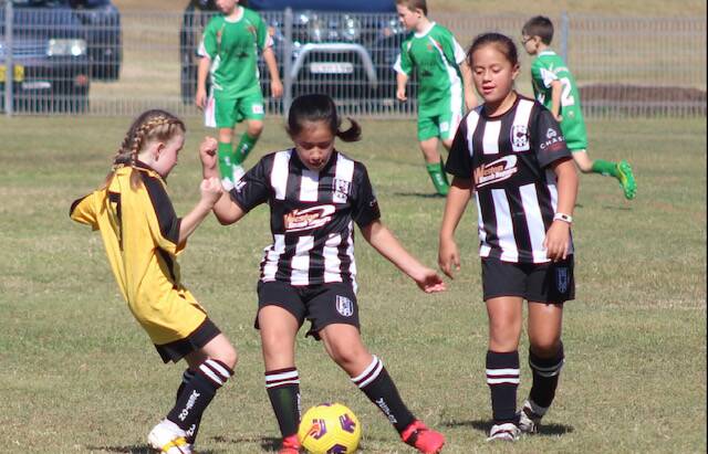 Weston Junior Football Club in action at Varty Park. Pictures: Samantha Tama
