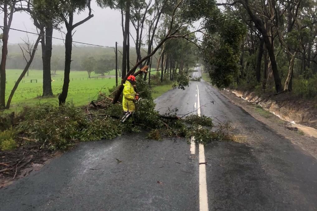 DANGER: The weekend's wild weather brought down many trees on local roads, including George Downes Drive at Bucketty. Picture: Cessnock District Rescue Squad
