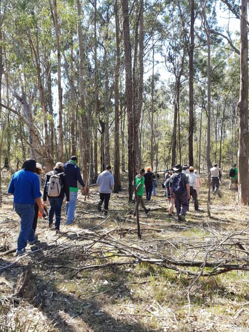 THE GREAT OUTDOORS: Bushwalks with local experts and ecologists will be part of the Our Bushland festival.