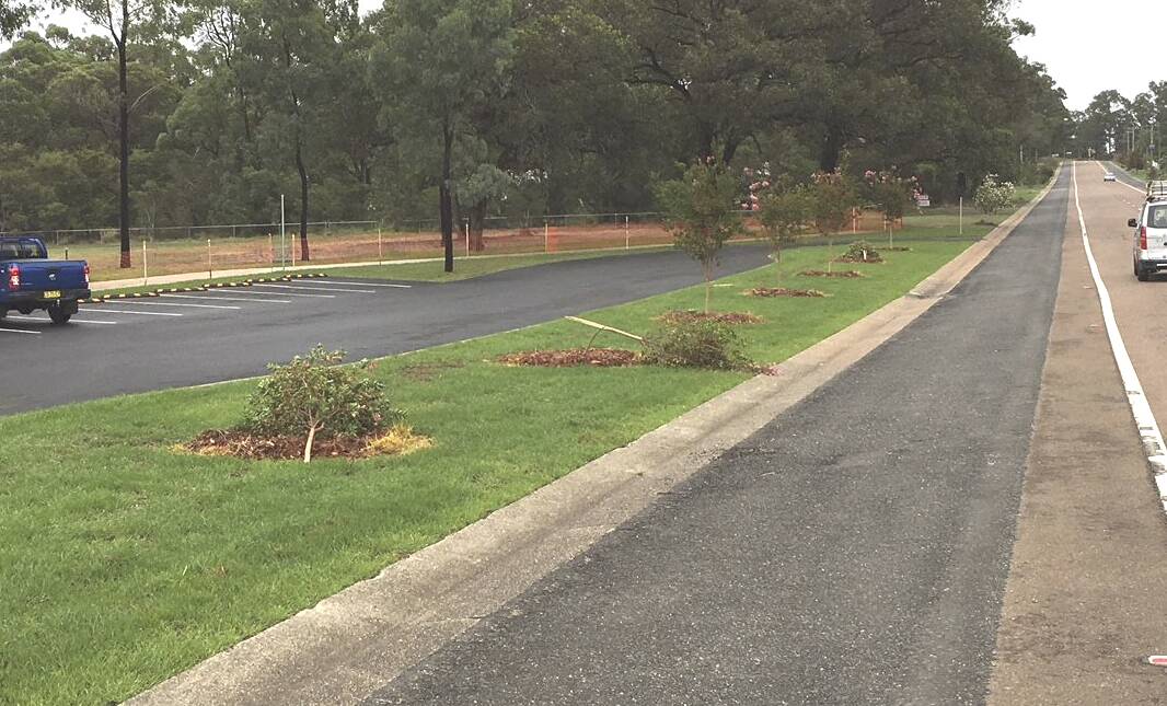 DESTRUCTION: The aftermath of the incident at Jeffery Park, Kearsley on March 5, when a car drove through three recently-planted crepe myrtle trees. Picture: supplied