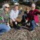 ROYAL OCCASION: Tricia Donnelly (council), Cessnock mayor Jay Suvaal, Karinda Stone (council) and Debbie Barry (Cessnock Tidy Towns) get into the spirit of the Queen's Jubilee tree planting, which will take place on August 13.