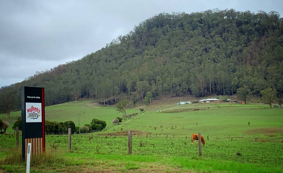 WE'RE OK: The Wollombi Valley is lush, green and open for business. Picture: Visit Wollombi (Facebook)
