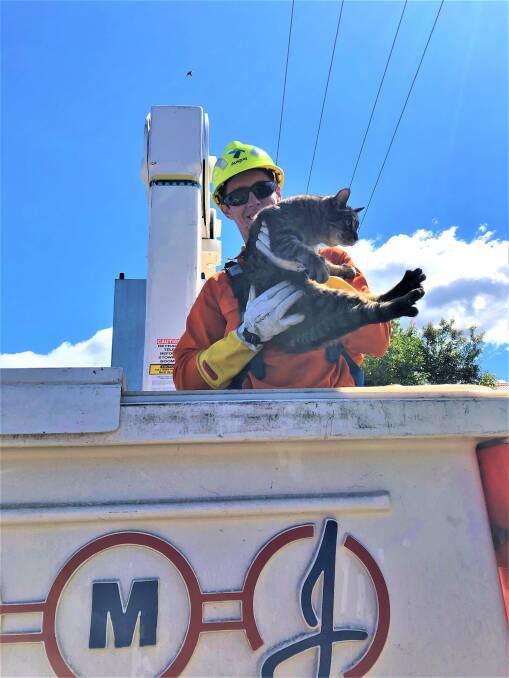 SAFE AND SOUND: Ausgrid technician Michael Schoonhoven and Sniper the cat after the rescue operation last Thursday.