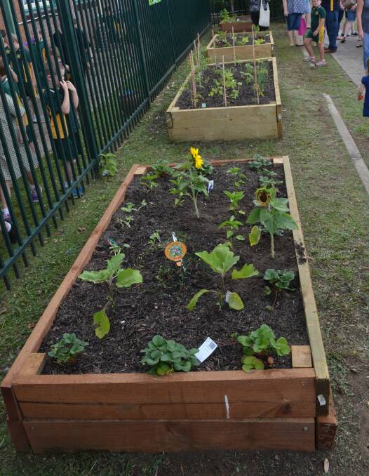 HELP YOURSELF: Cessnock West Public School's community garden is open to the public on Campbell Street.