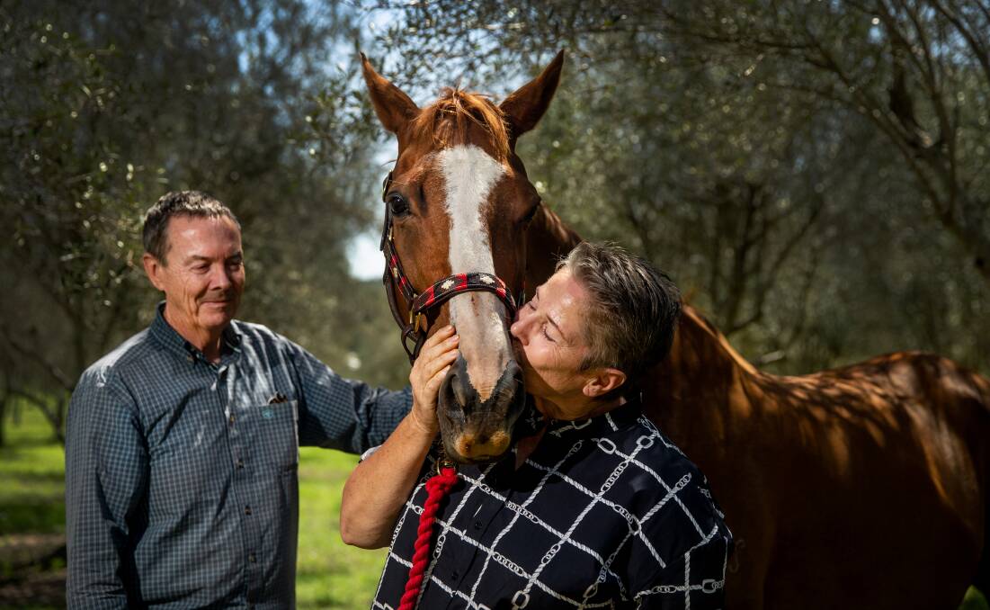 TWILIGHT YEARS: Lucy's Run winery owners Brad and Heather Wright with their new addition Freya the 20-year-old mare. Picture: Marina Neil