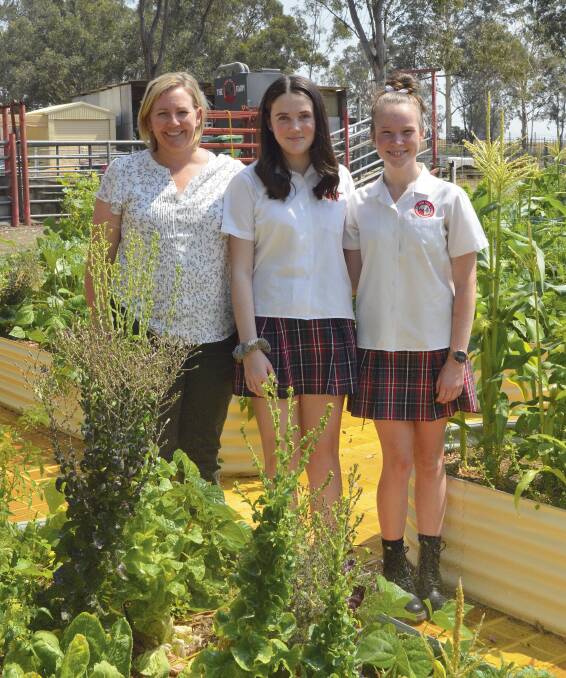 OPPORTUNITY: Mount View High agriculture teacher Anna Wells and students Erin Watherston and Chelsea Webb, who will attend the Brilliant Business Kids festival.