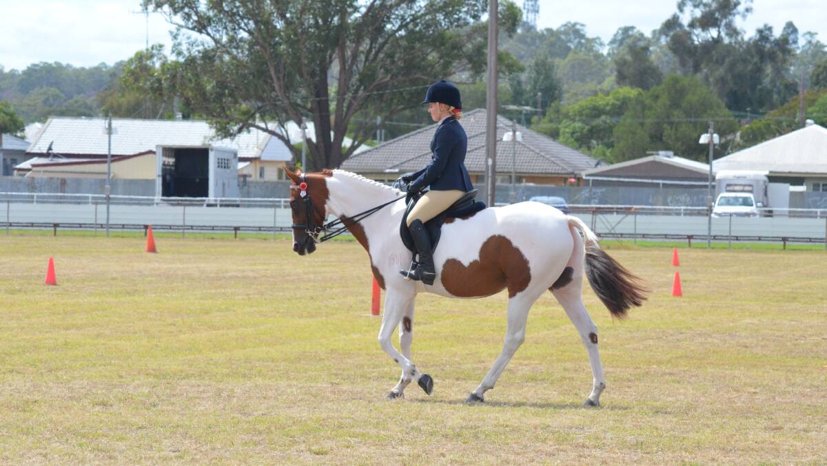 POISED: The horse class competition got underway at Cessnock Showground on Friday. Picture: Krystal Sellars