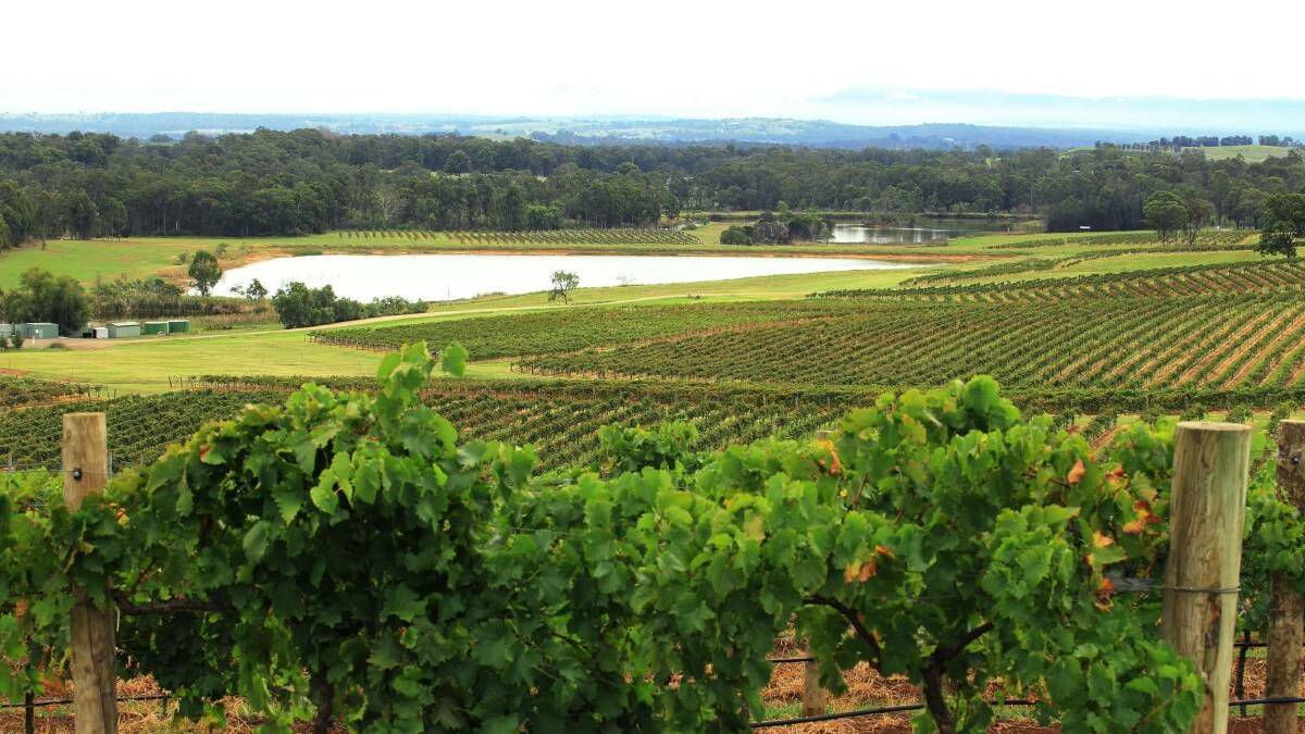 Hunter Valley suffers $76m loss from 'quadruple threat'