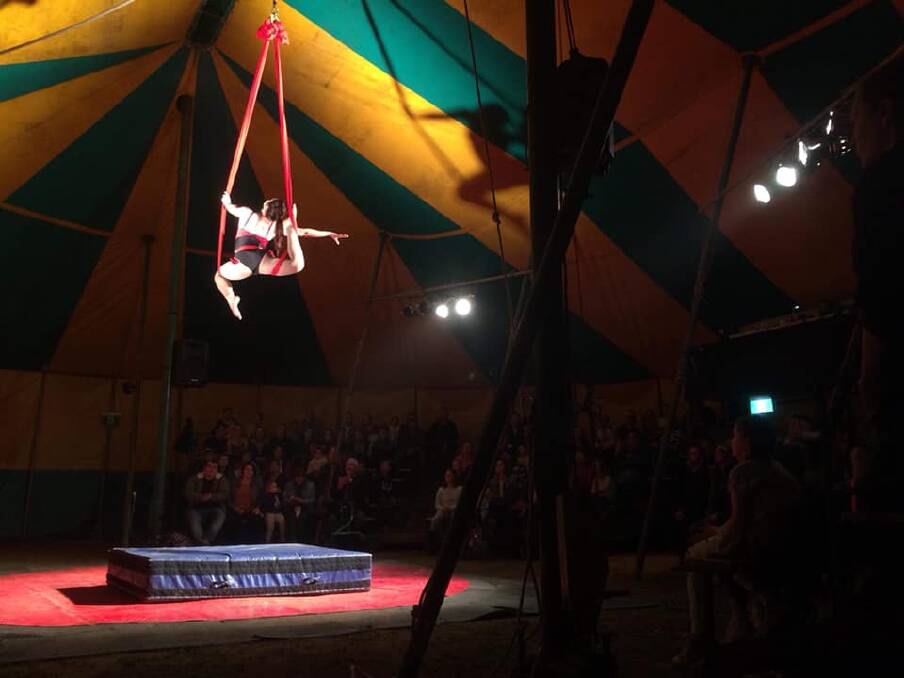 TALENTED: Champion artists from Circus Avalon feature in the Magic Christmas Circus.