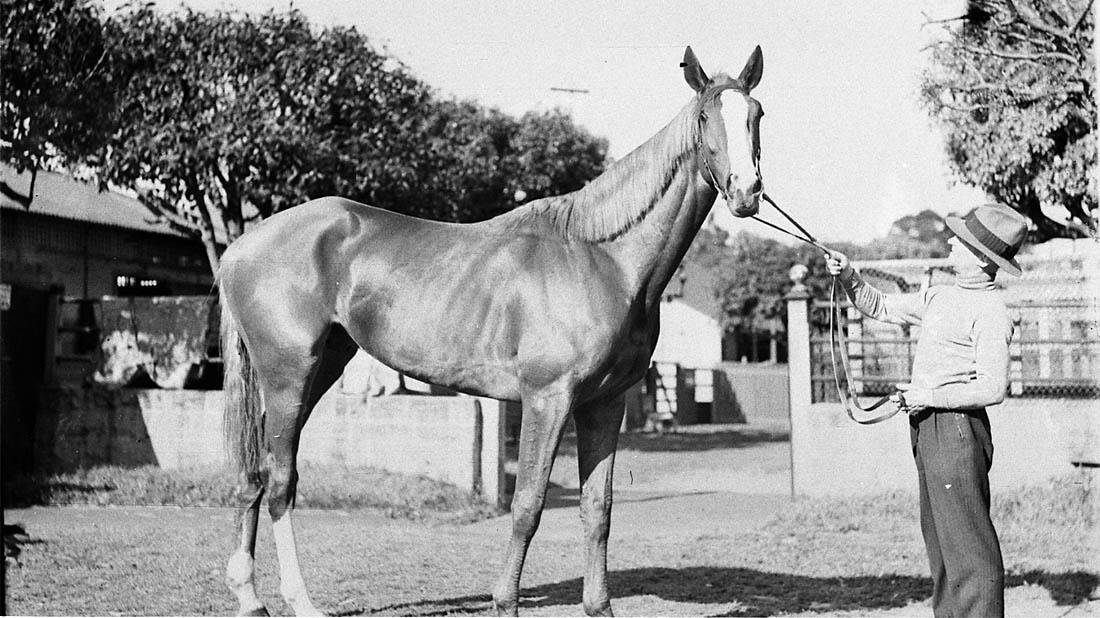 Race horses. Picture courtesy State Library of NSW.