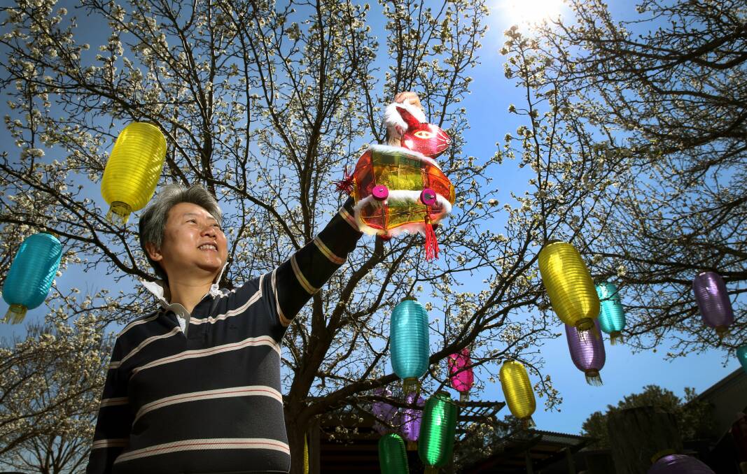 BRIGHT: Hunter Valley Moon Festival organiser Fanny Cheuk prepares lanterns for the upcoming event. Picture: Marina Neil