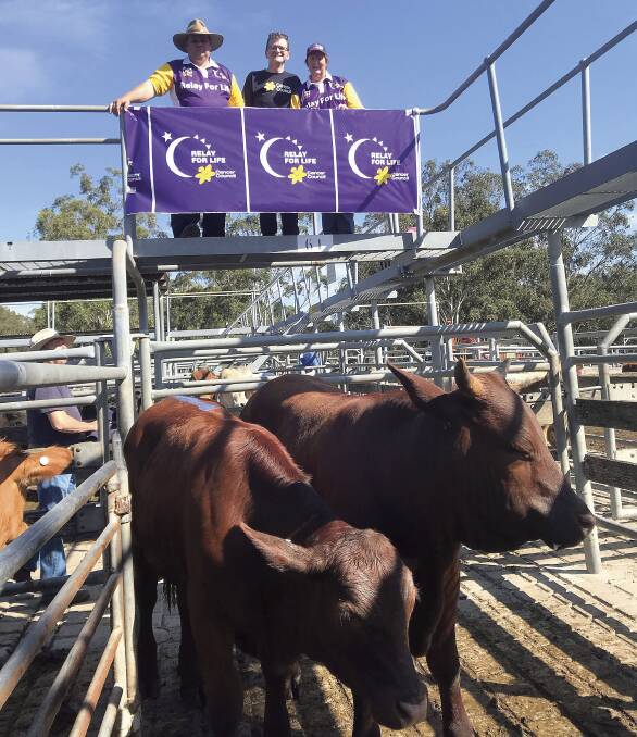 GENEROUS: Geoff and Linda Payne from Barraba Santa Gertrudis Stud with Cancer Council's Clint Ekert at Maitland Saleyards for the steer auction on Monday.