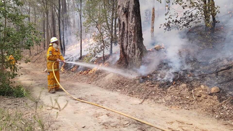 TOUGH TASK: A Millfield firefighter at Corrabare State Forest, where crews have been battling a bushfire since late November. Picture: Millfield Rural Fire Brigade