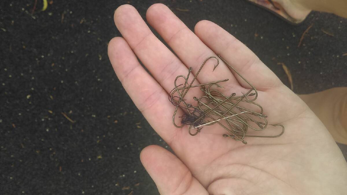 DANGEROUS: Some of the fish hooks that were found at Jeffery Park, Kearsley on February 15. Picture: Amanda Vernon
