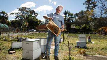 Un-bee-lievable: David Vial, of Williamtown, photographed with his bees before the crisis hit. 'We're just hoping they can contain it within the 50-kilometre zone'. Picture: Max Mason-Hubers 