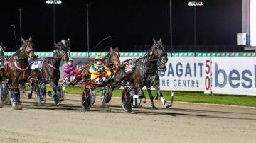 Gotta Kick in front close to home at Menangle on Saturday night. Picture: Racing at Club Menangle Trackside