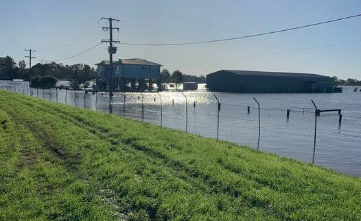 A shot of the area near Maitland Showground. Picture: Maitland Greyhounds
