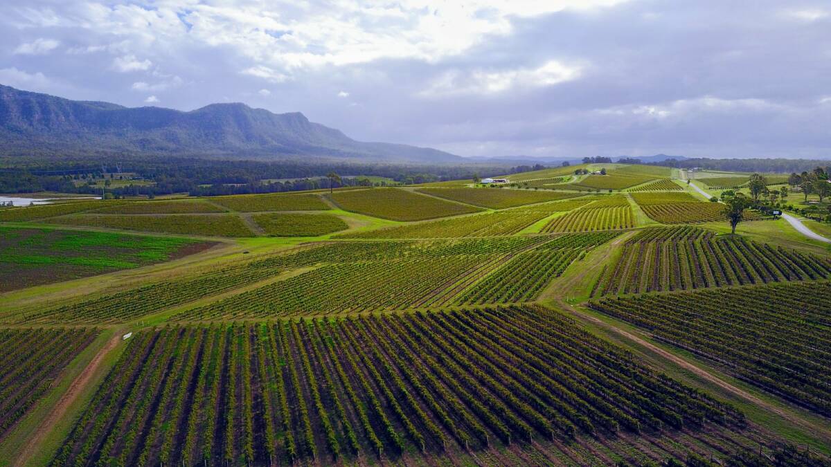  "Cessnock's wine region is one of the oldest and most diverse in the world."