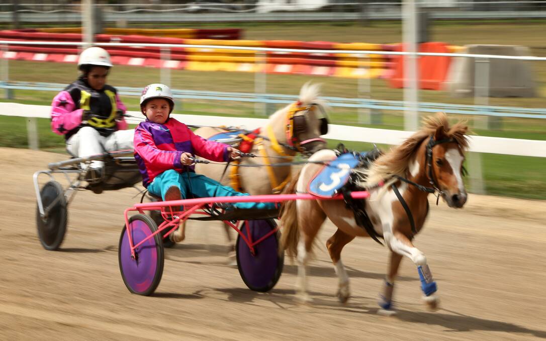 EXCITING: The mini trotters are back at Cessnock Show again this year on Friday evening. Picture: Marina Neil