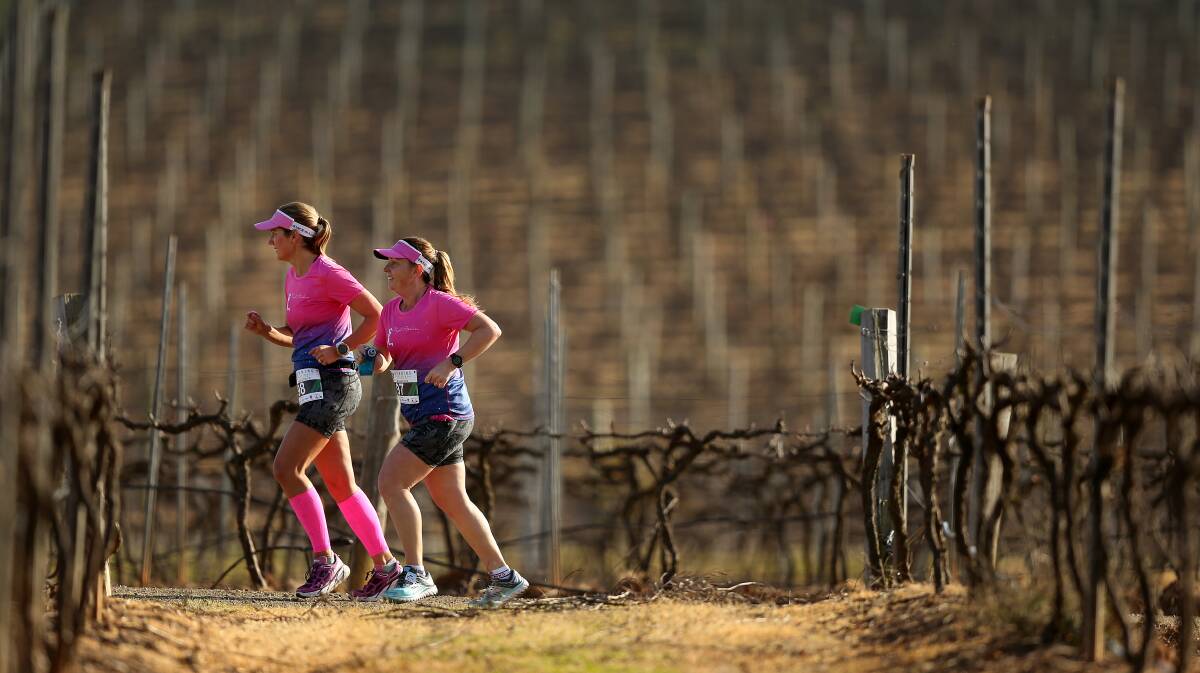SCENERY: The Hunter Valley Winery Running Festival features picturesque views of wine country.