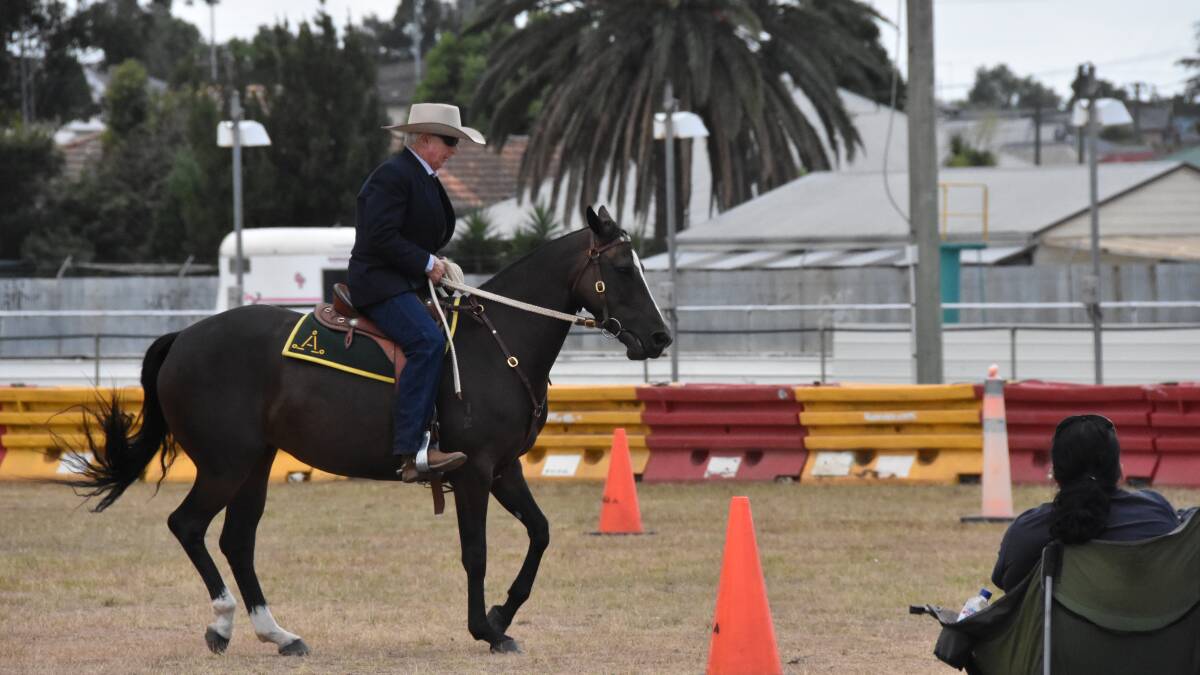 FLASHBACK: Horse events at the 2019 Cessnock Show