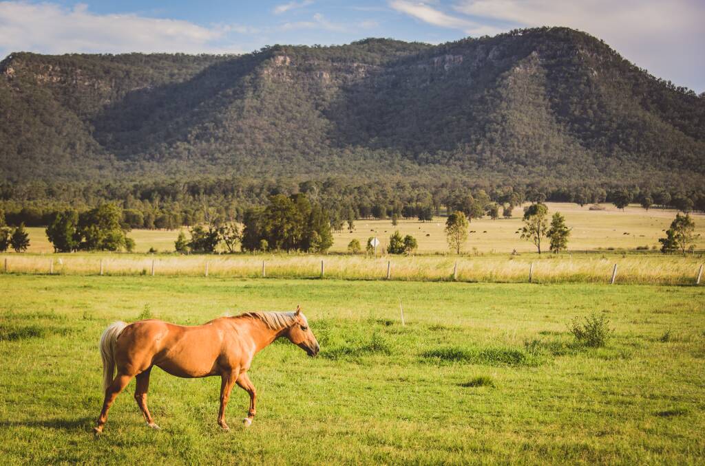 Top 10 greatest outdoor experiences you can’t afford to miss in the Hunter Valley