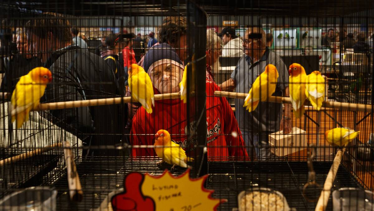 A BIRD IN THE HAND: Hunter Valley Avicultural Society's annual bird sale had a record 4000 people flock to the event. PICTURE: Max Mason Hubers. 