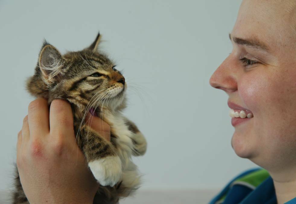 PURRFECT: Kristen Day from Rutherford RSPCA pictured with a kitten that was up for adoption.