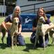 GRNSW's Greyhounds As Pets and the Norman Lindsay Gallery at Faulconbridge in the Blue Mountains, will host a unique adoption day on Sunday August 28. Photo: Supplied
