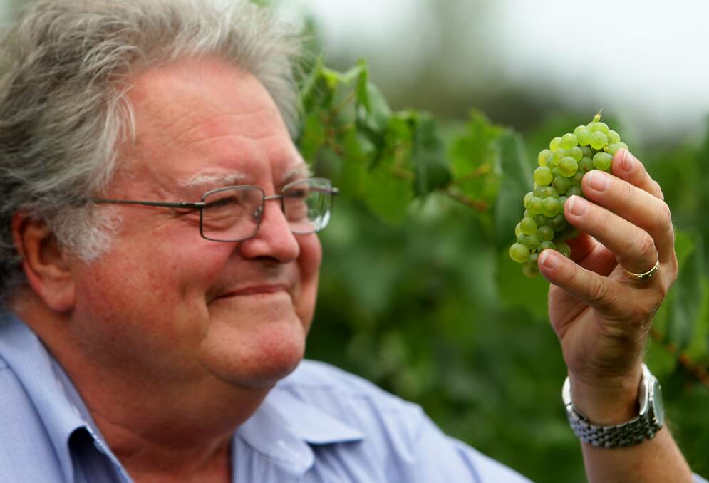 HISTORIC PURCHASE: Brian McGuigan, pictured, and Colin Peterson have bought Ben Ean vineyard. Picture: Jonathan Carroll. 