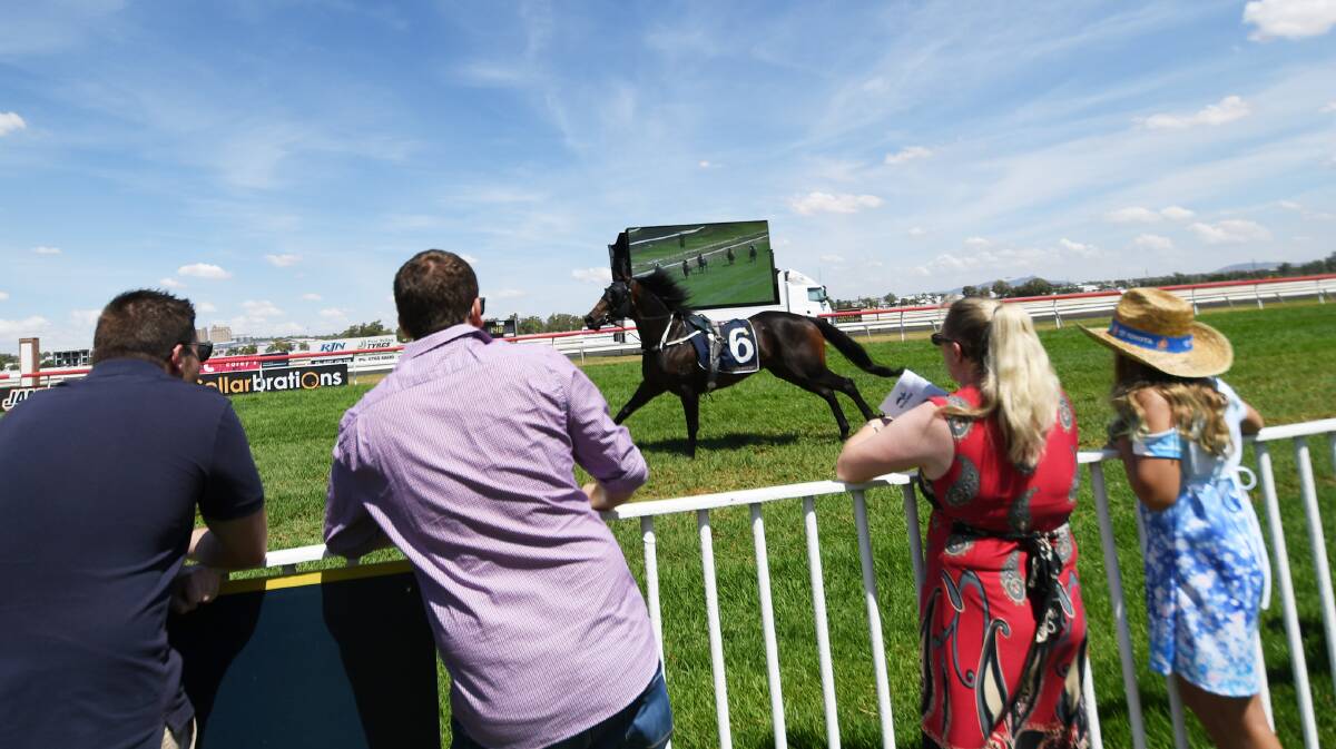HORSE FALL: Modern Family finished the race without a jockey at Tamworth racecourse on Sunday. Photo: Gareth Gardner