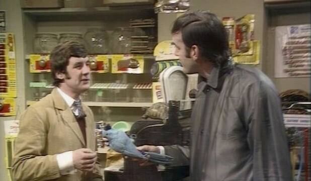 Ex-python: Michael and John Cleese starred in the Dead Parrot sketch in Monty Python’s Flying Circus.