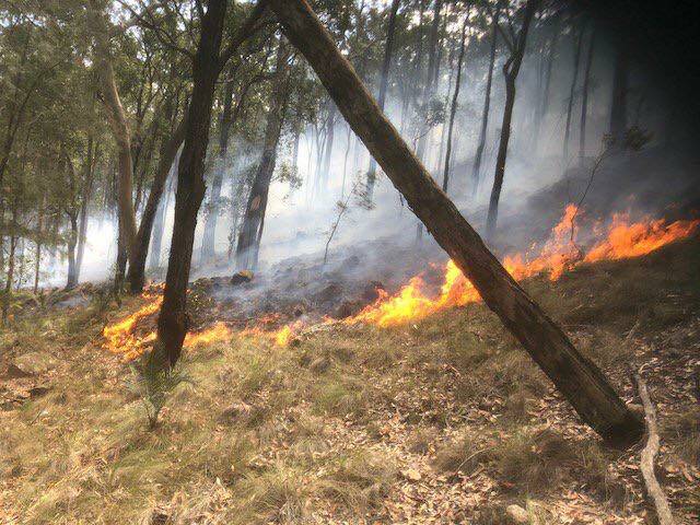 The Stockrington fire. Picture: NSW Rural Fire Service