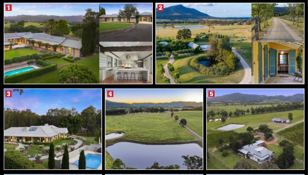 The super rich Sydney-siders driving up Hunter Valley wine country property prices
