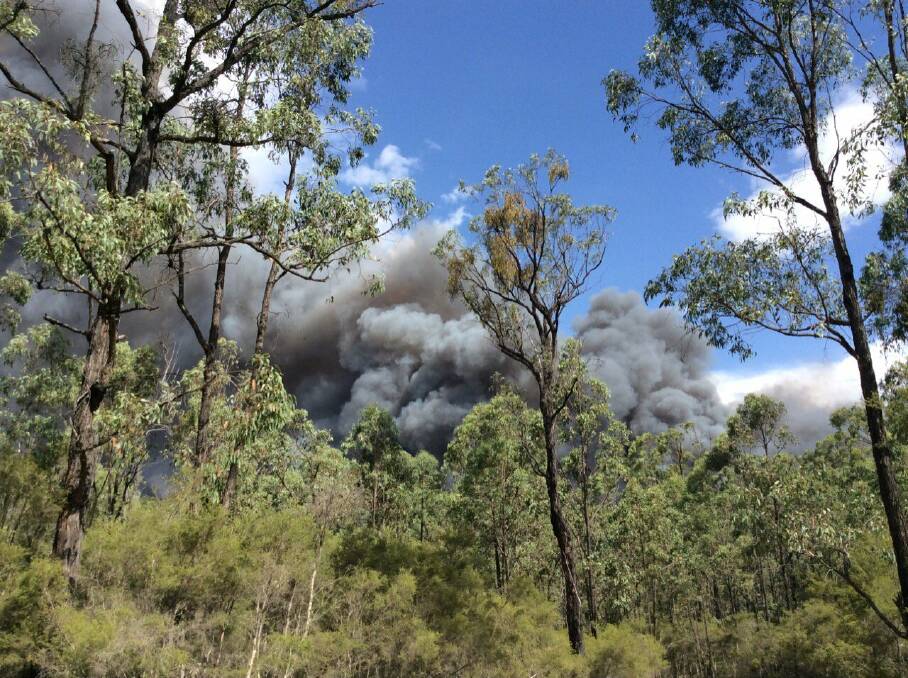 SMOKED OUT: The fire has been at emergency level since shortly about 4.30pm, the NSW Rural Fire Service said. Picture: NSW RFS