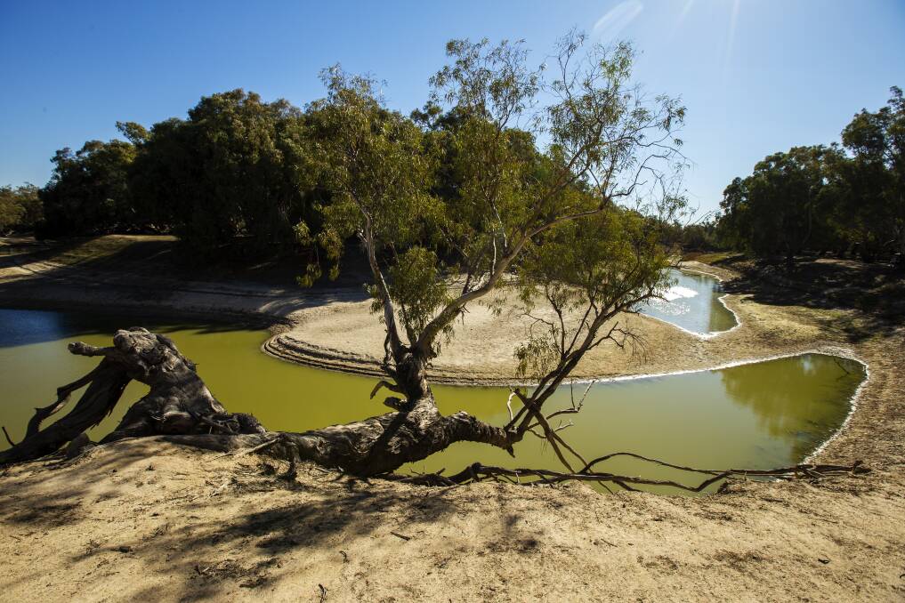 The Darling River near Pooncarie, on August 15, 2019. Dwindling water supply in the river over two decades has raised serious questions about how the Murray-Darling Basin Plan is being managed. Photo: Jenny Evans/Getty Images