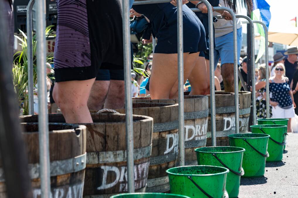 Squash: Grape stomping is the trademark of the annual STOMP Festival in Cessnock, attracting thousands of visitors to Vincent Street.