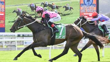 Flying Rani will be in for a shot at winning Race 3 at Wyong on Wednesday, November 29. Photo by Bradley Photos. 