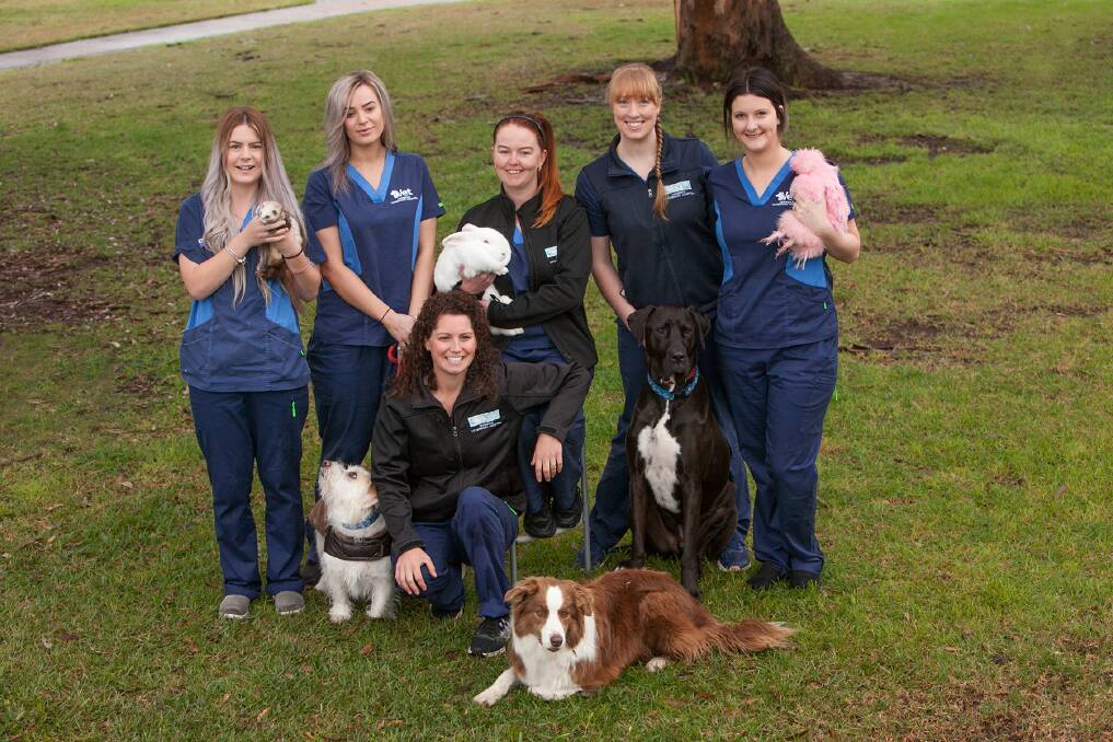 The nursing team: Jade, Tash, Lesley, Renae, Megan and Maddie.