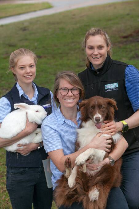 Helping Hand: Providing valuable assistance and always there to help are Dr Maddy Hay, Dr Rebecca Wyatt and Dr Annabel Thompson. Photo: Supplied.