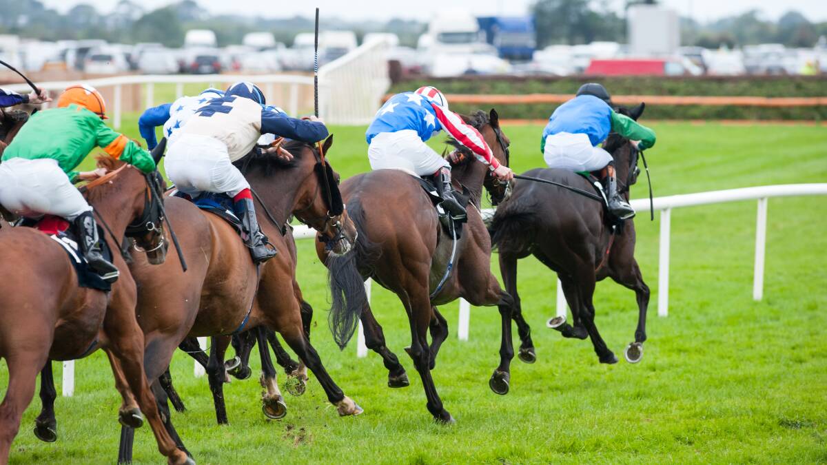 Guaranteed winner: When picking a winner you could always back the whole field. You might not win any money but the bragging rights are worth it. Photo: Shutterstock.