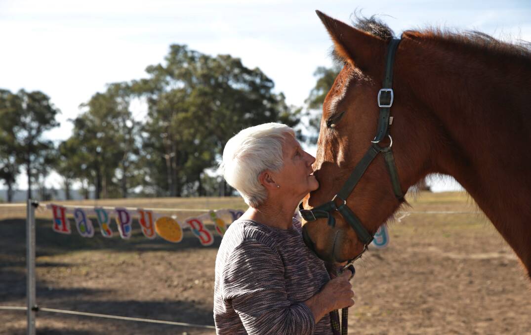 Pam Walterback with George the horse in a paddock at Ellalong looking much better. Pictures: Simone De Peak