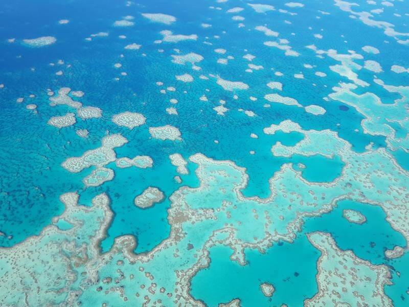 La Nina could slam the Great Barrier Reef with big waves, warmer ocean temperatures and pollutants.