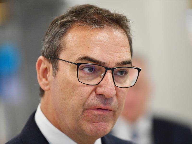 SA Premier Steven Marshall has announced another $650m to tackle job losses amid COVID-19.
