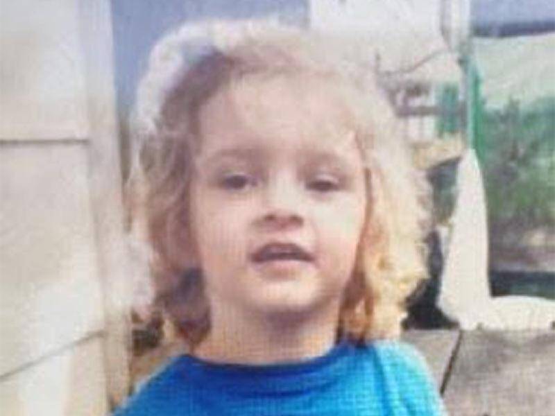 Police are searching for a three-year-old girl who went missing in Queensland's Sunshine Coast.