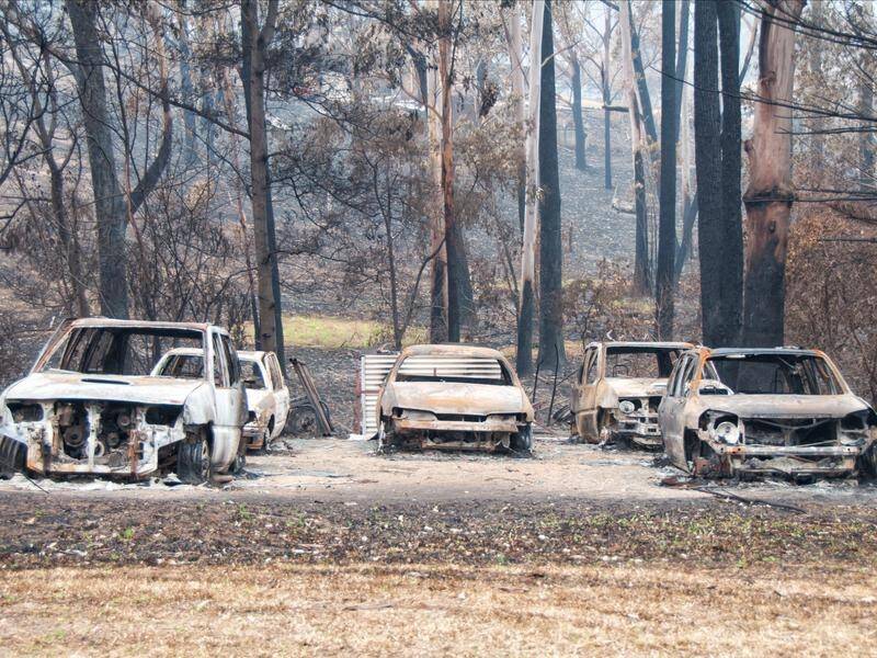 A NSW bushfire survivor has slammed the difficult process of accessing the promised support.